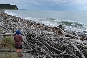 Mananui Bush, Mahinapua, Wanganui River, Oneone