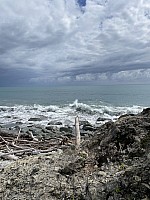 Mananui Bush, Mahinapua, Wanganui River, Oneone