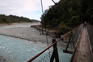 Mananui Bush, Mahinapua, Wanganui River, Oneone