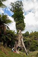 Old Man Tree
Photographer;&nbsp;Peter Baxter
2022-04-16&nbsp;11.44.21
Original size:&nbsp;3,572 x 5,358; 15,300 kB
Filename: 2022-04-16 11.44.21 IMG_5222-1 Peter Baxter - old man tree.jpeg