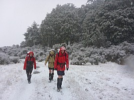 Fly Wellington to Ōtautahi, drive to Loch Katrine, tramp Hurunui River to Hurunui Hut