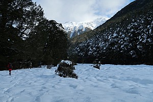 Tramp Hurunui River from Hurunui #3 Hut to Camerons Hut and beyond return
