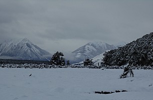 Tramp Hurunui River from Hurunui #3 Hut to Camerons Hut and beyond return