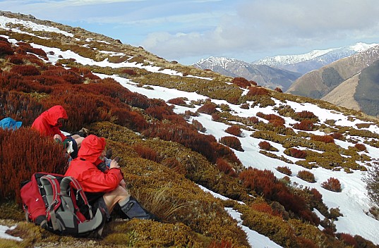 2022-08-04 12.35.25 DSC02916 Alan - Brian and Bruce at lunch spot just above Macs Knob bush edge_cr.jpeg: 3648x2392, 3032k (2022 Dec 11 15:08)