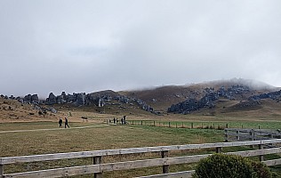 Wellington to Fox Glacier