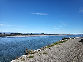 Wellington to Fox Glacier