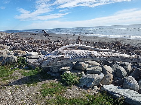 Hilip - Hokitika beach driftwood
2023-04-15&nbsp;13.43.46;&nbsp;Metadata time: '2023 Apr 15 13:43'
Original size:&nbsp;8,000 x 6,000; 15,206 kB
Filename: 2023-04-15 13.43.46 Philip - Hokitika beach driftwood.jpeg