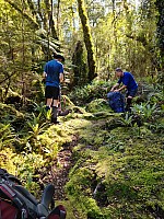 Moeraki River to Middle Head hut