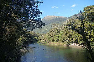 Moeraki River to Middle Head hut
