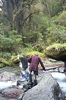 Moeraki River, Middle Head Hut to Blue River Hut