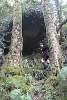 Moeraki River, Middle Head Hut to Blue River Hut