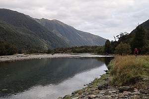 Moeraki River, Middle Head Hut to Blue River Hut