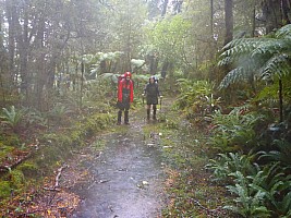 Blue River Hut to Māori Saddle Hut on the Haast Paringa Cattle track