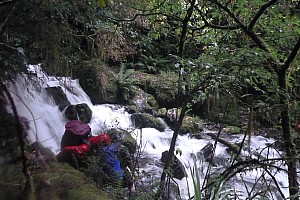 Blue River Hut to Māori Saddle Hut on the Haast Paringa Cattle track