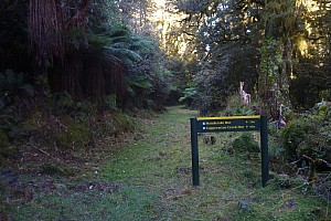 Māori Saddle Hut to Mataketake Hut