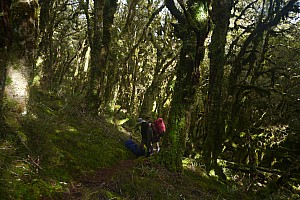 Mataketake Hut to Blue River Hut via tops, drive to Waita River at the south end of Haast-Paringa Cattle Track, tramp to Coppermine Creek Hut