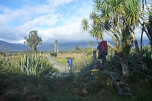 Mataketake Hut to Blue River Hut via tops, drive to Waita River at the south end of Haast-Paringa Cattle Track, tramp to Coppermine Creek Hut