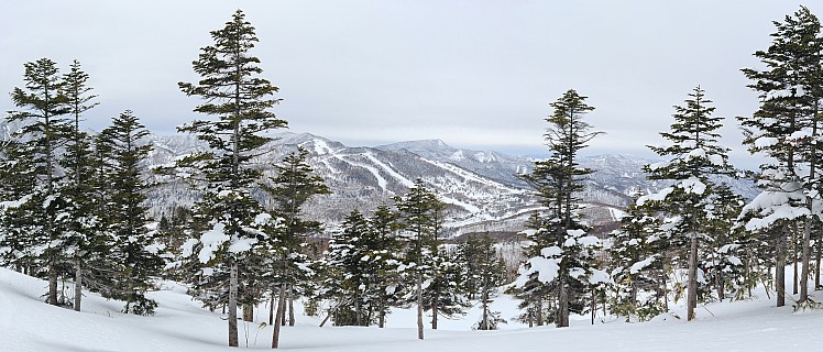 View from Yakebitaiyama A1 across to Ichinose and Takamagahara
Photographer;&nbsp;Simon
2024-03-05&nbsp;09.59.21;&nbsp;Metadata time: '2024 Mar 05 09:59'
Original size:&nbsp;15,926 x 6,810; 17,579 kB;&nbsp;stitch
Filename: 2024-03-05 09.59.21 S20+ Simon - view from Yakebitaiyama A1 across to Ichinose and Takamagahara_stitch.jpg