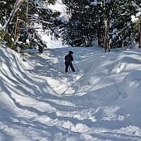 Yamanoeki skiing
Kevin with lost ski in the trees beside the Maruike Triple
Photographer;&nbsp;Jim
2024-03-11&nbsp;10.18.00;&nbsp;Metadata time: '2024 Mar 11 10:18'
Original size:&nbsp;2,992 x 2,992; 2,935 kB
Filename: 2024-03-11 10.18.00 S21FE+ Jim - Kevin with lost ski in the trees beside the Maruike Triple.jpeg