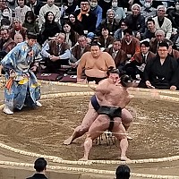 Kuromon market, Ōsaka Castle, Sumo Wrestling and Edion Arean\, Dōtonburi
Sumo action
Photographer;&nbsp;Jim
2024-03-15&nbsp;17.04.47;&nbsp;Metadata time: '2024 Mar 15 17:04'
Original size:&nbsp;2,992 x 2,992; 1,381 kB
Filename: 2024-03-15 17.04.47 S21FE+ Jim - Sumo action.jpeg