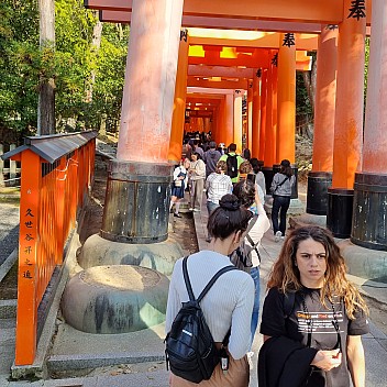 Start of the Senbon Torii path
Photographer;&nbsp;Jim
2024-03-16&nbsp;15.41.33;&nbsp;Metadata time: '2024 Mar 16 19:41'
Original size:&nbsp;2,992 x 2,992; 2,993 kB
Filename: 2024-03-16 15.41.33 S21FE+ Jim - start of the Senbon Torii path.jpeg