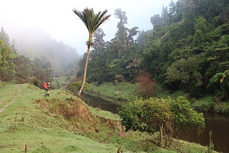 Simon on the Waitōtara Track
Photographer;&nbsp;Brian
2025-05-04&nbsp;08.35.56;&nbsp;Metadata time: '2025 May 04 08:35'
Original size:&nbsp;5,472 x 3,648; 8,275 kB
Filename: 2025-05-04 08.35.56 IMG_1480 Brian - Simon on the Waitōtara Track.jpeg